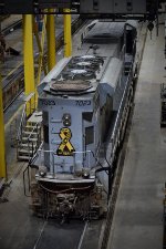 CP 7023